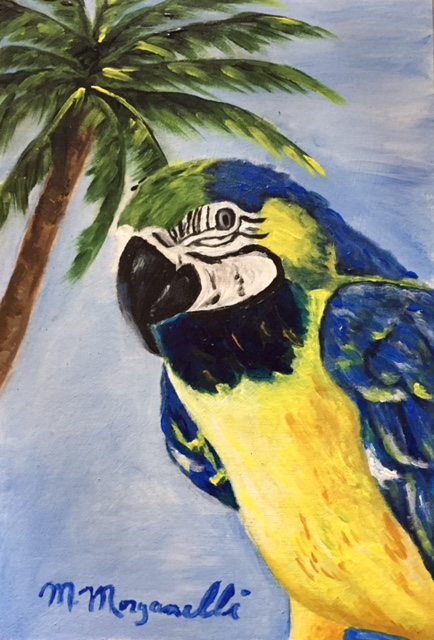 Guacamaya/Macaw - ORIGINAL