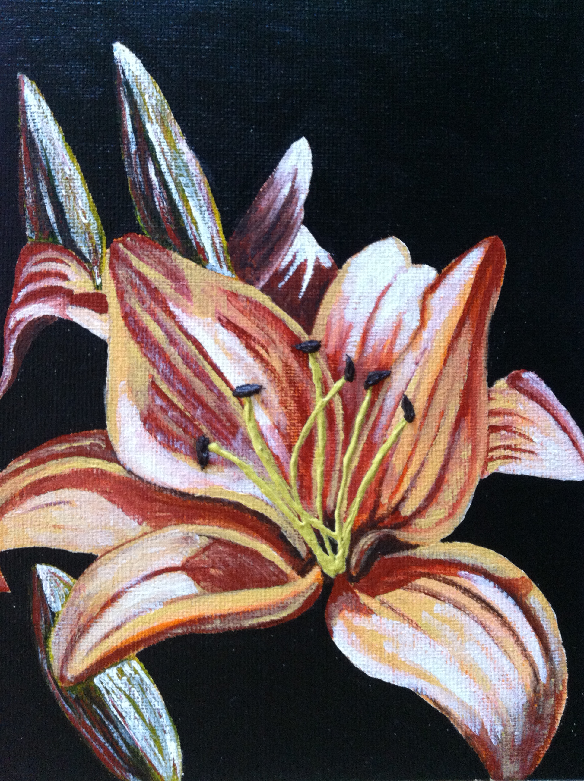 Lily - Greeting Card