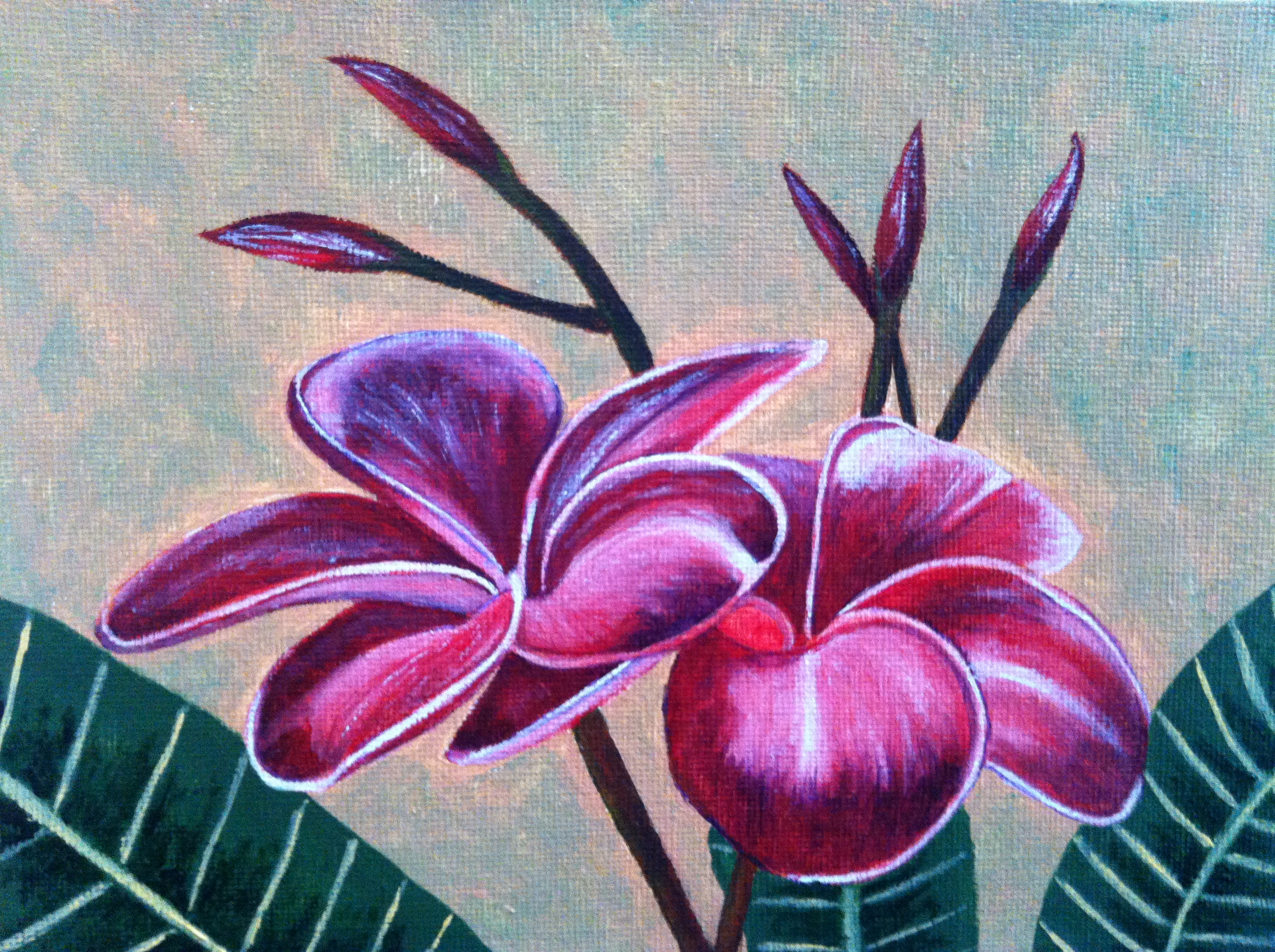 Tropical Flower Frangipani - Greeting Card