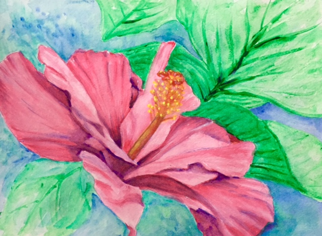 Hibiscus - ORIGINAL