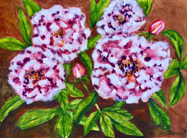 Peonies - ORIGINAL