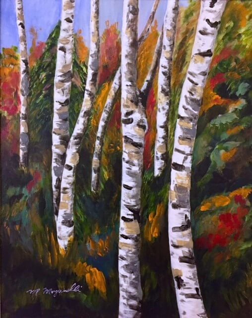 Birch - ORIGINAL