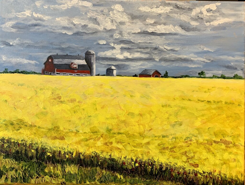 Canola Field - ORIGINAL