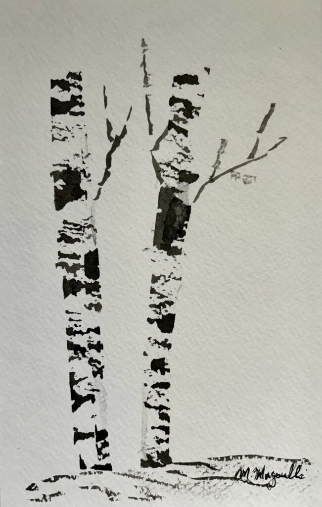 Birch- ORIGINAL